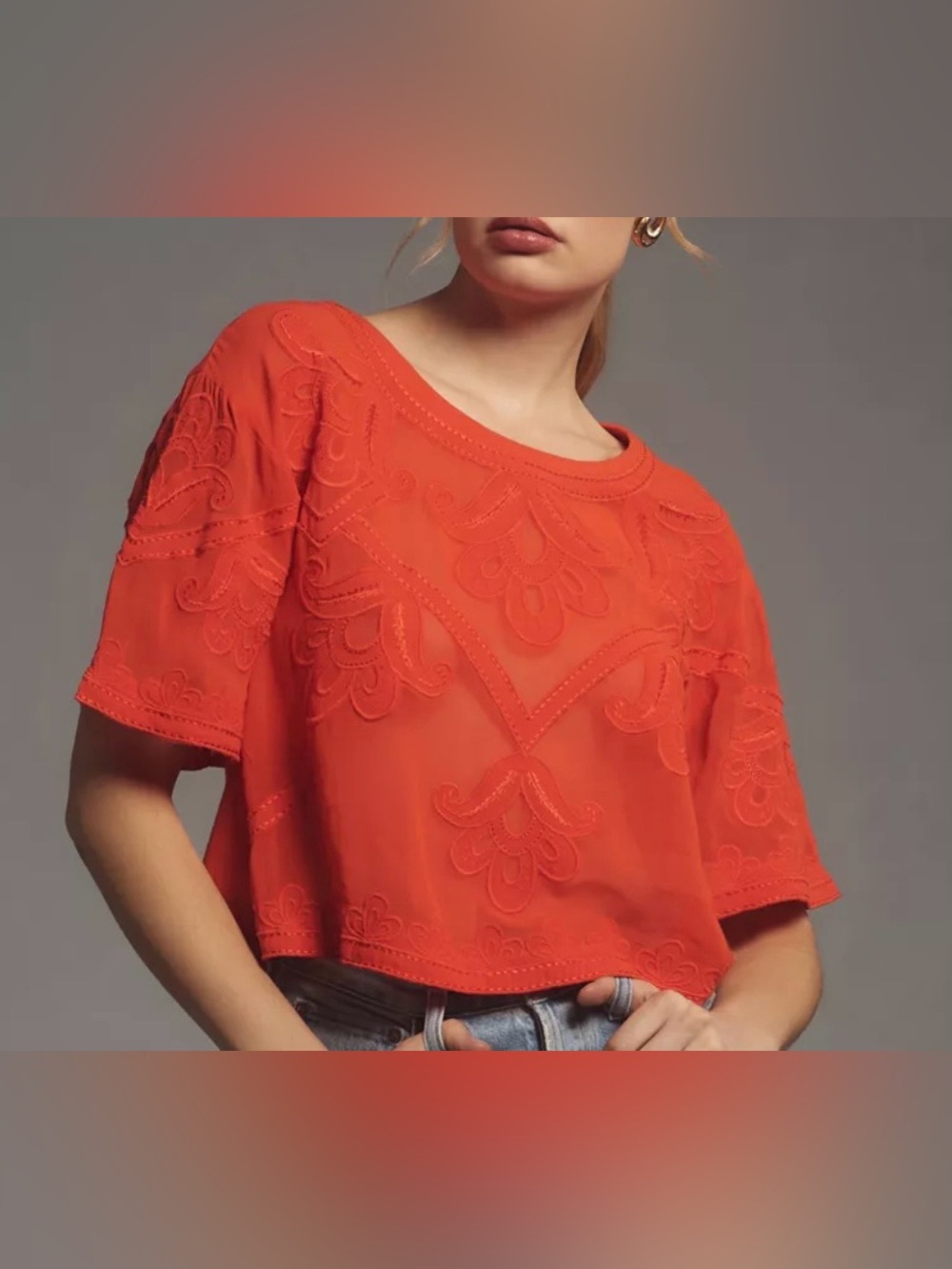 By Anthropologie Sheer Embroidered Boxy Top Size Small